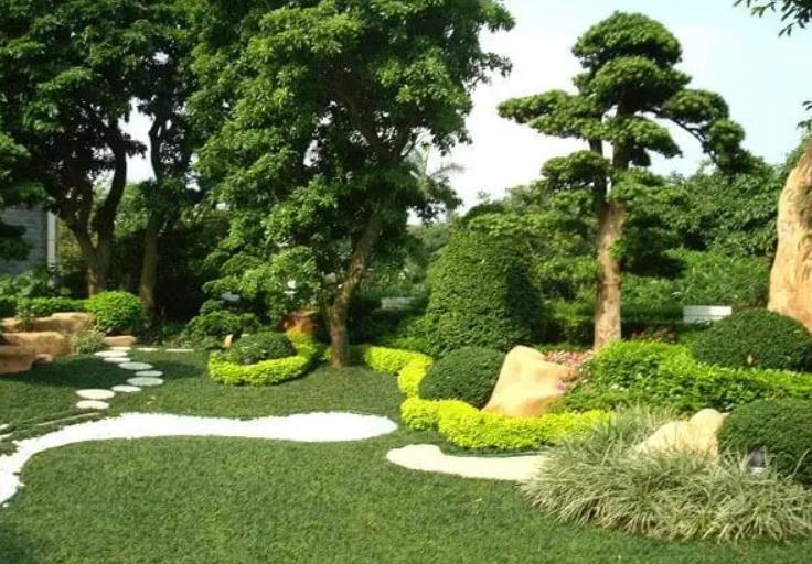 園林景觀設(shè)計之植物墻設(shè)計在哪些地方適合？